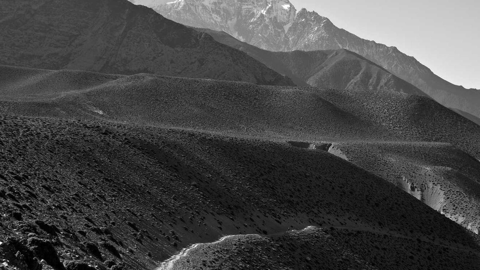 Creator Spotlight: Mobile Photography Pros