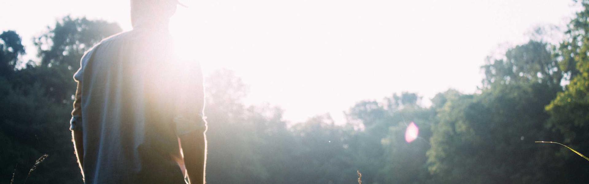 Summer Collection 2025