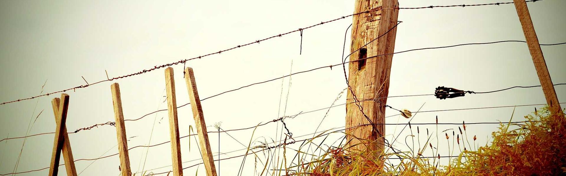 Premium Home Collection